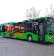 Busbeklebungen für ein regionales Busunternehmen.