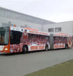 Busbeschriftung Fanbus für Energie Cottbus.